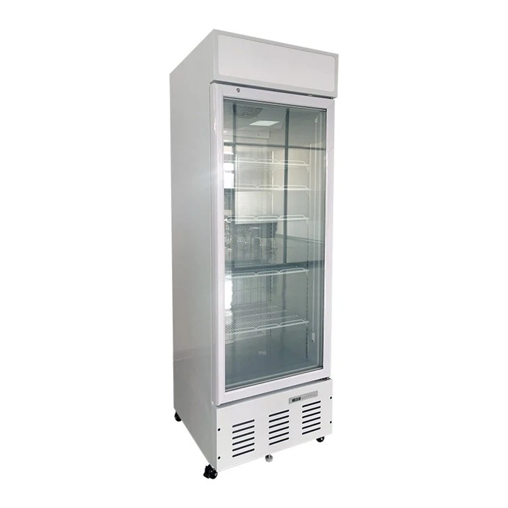 Commercial Vertical Freezer